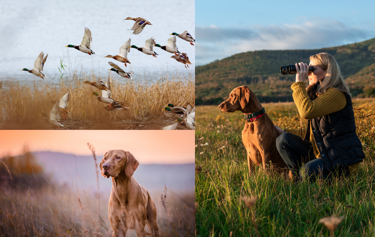 Person working on laptop